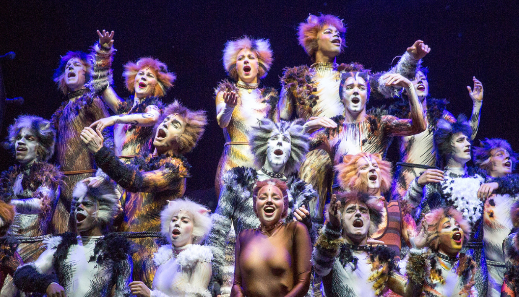 CATS the Musical